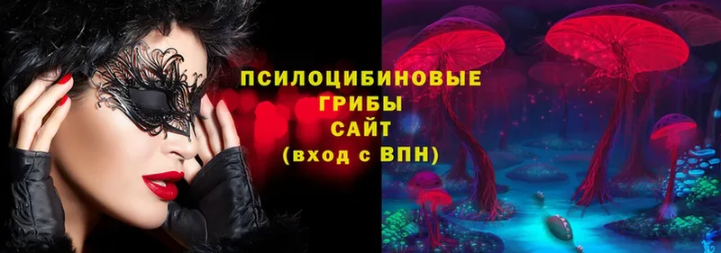 Галлюциногенные грибы Psilocybine cubensis  Гай 